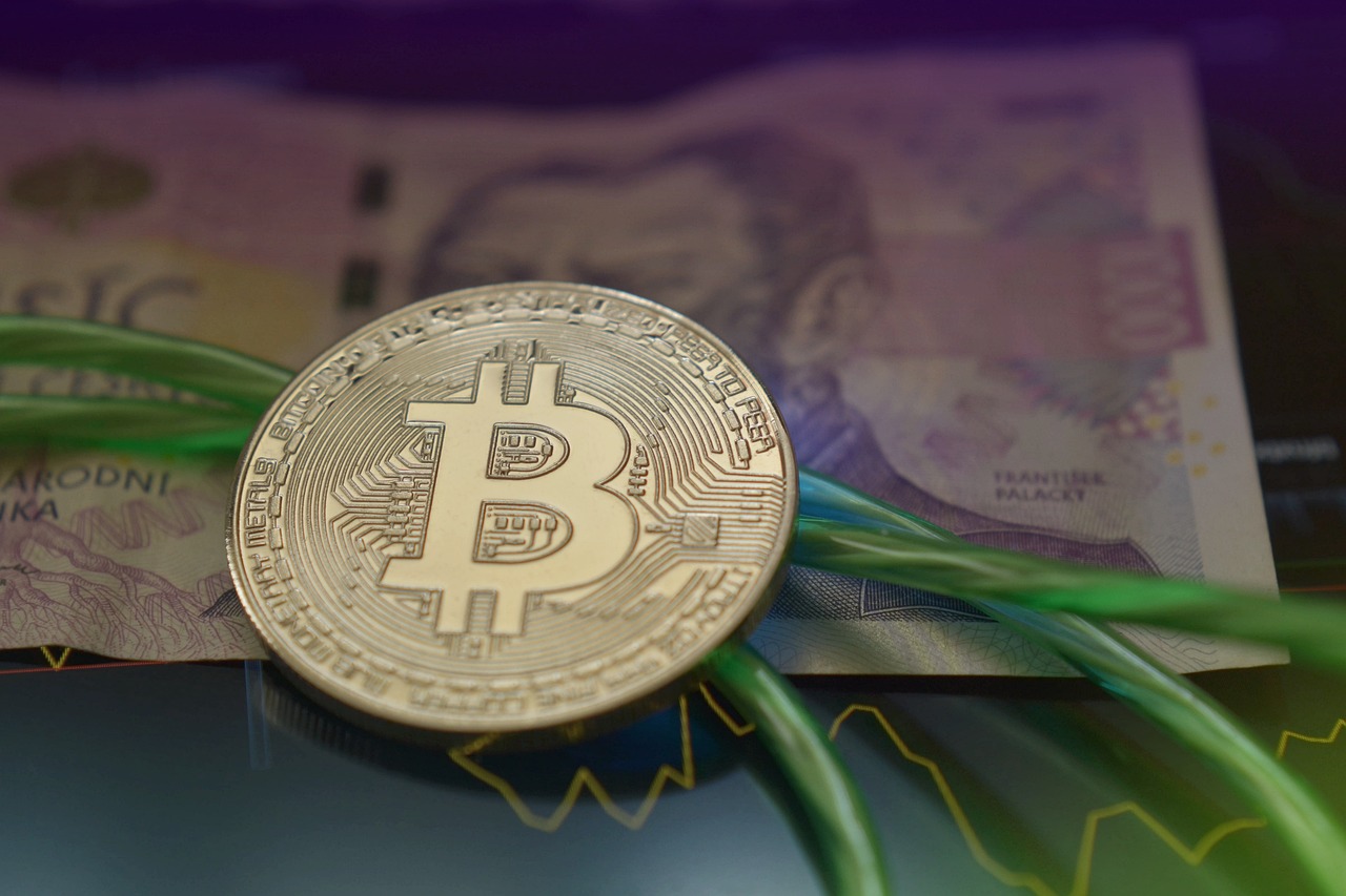 美国世界粮食计划署WFP宣布：接受BTC、ETH、USDC、DOGE、BONK等80种加密货币捐赠